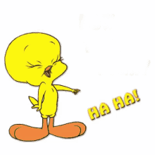Gif Titi rit
